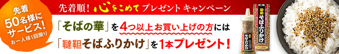 プレゼントキャンペーン